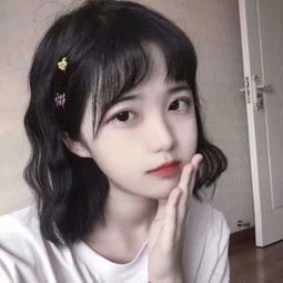 木槿花的守望【图片】